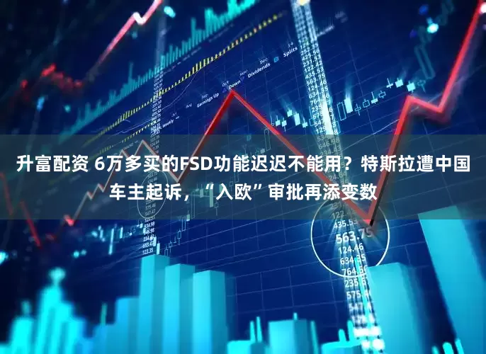 升富配资 6万多买的FSD功能迟迟不能用？特斯拉遭中国车主起诉，“入欧”审批再添变数