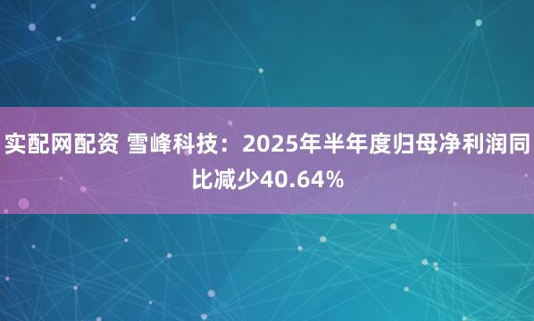 实配网配资 雪峰科技：2025年半年度归母净利润同比减少40.64%